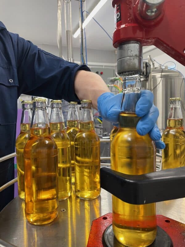 Cider